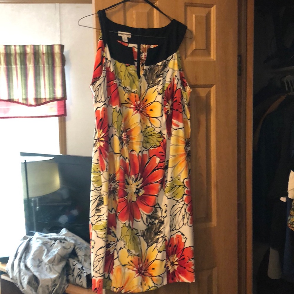 Kim Rogers Woman Dress. Size 18w